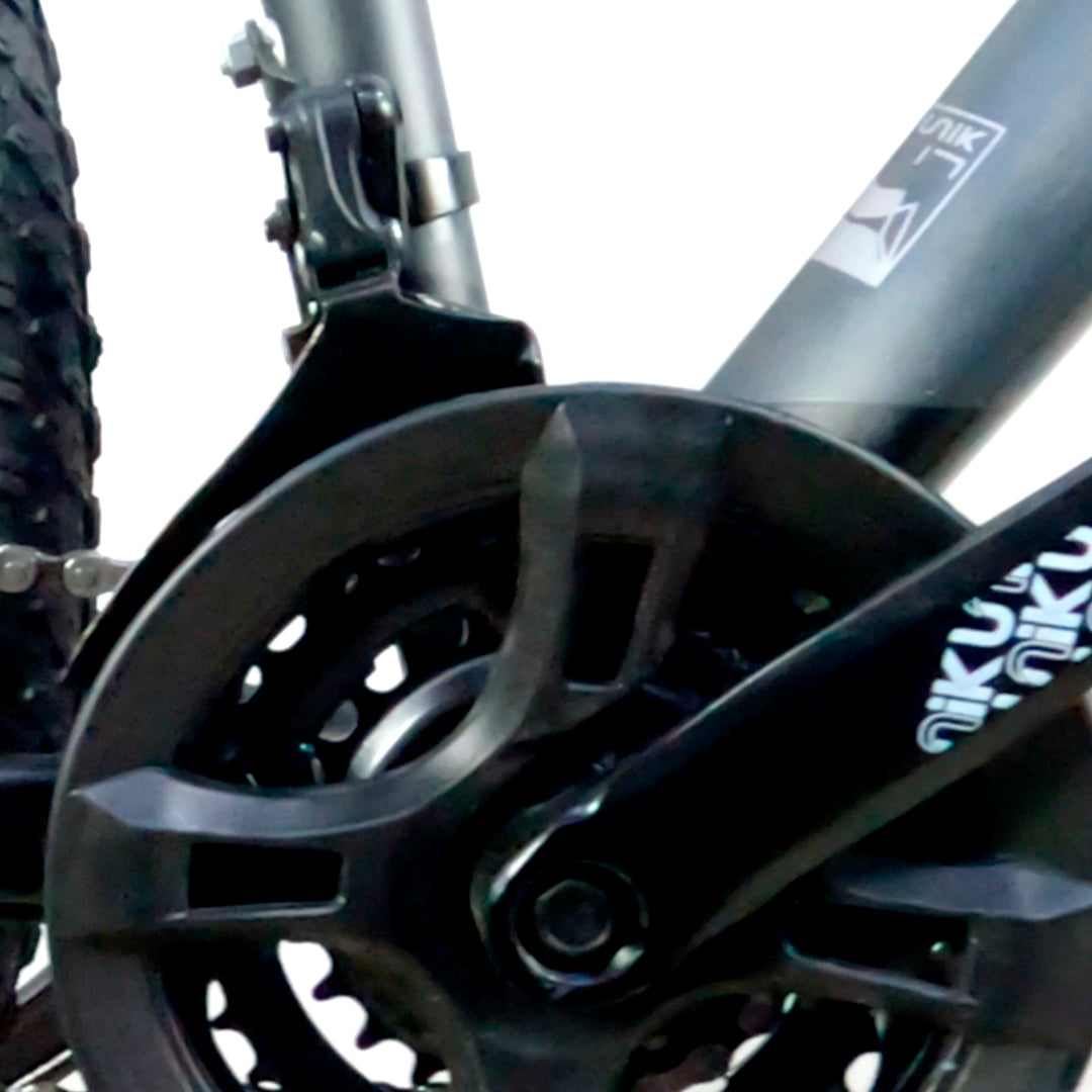 Bicicleta Unik