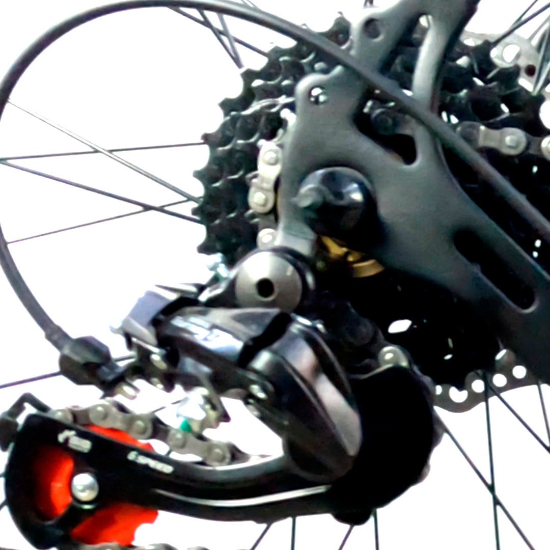 Bicicleta Unik