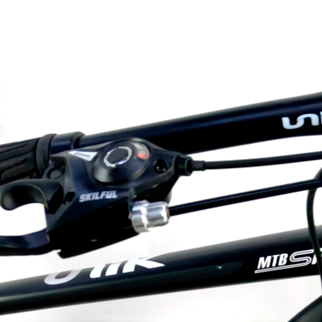 Bicicleta Unik