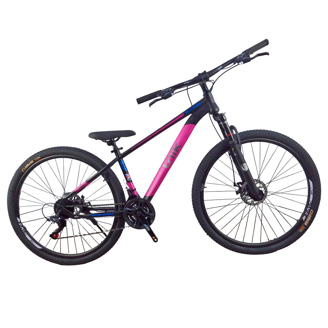 Bicicleta Unik