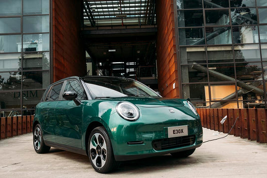 JAC ELÉCTRICO E30X