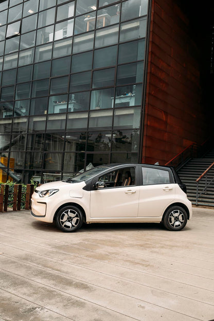 JAC ELÉCTRICO E10X