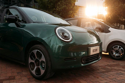 JAC ELÉCTRICO E30X