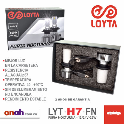 Bombillos LOYTA LED H7 FURIA NOCTURNA LYT-H7-FN  12-24V 25W PX26D