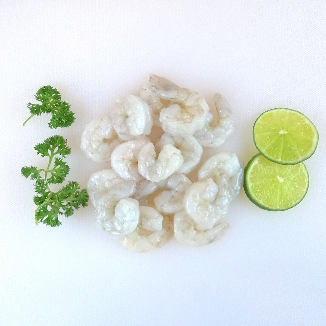 Camarones  41+50