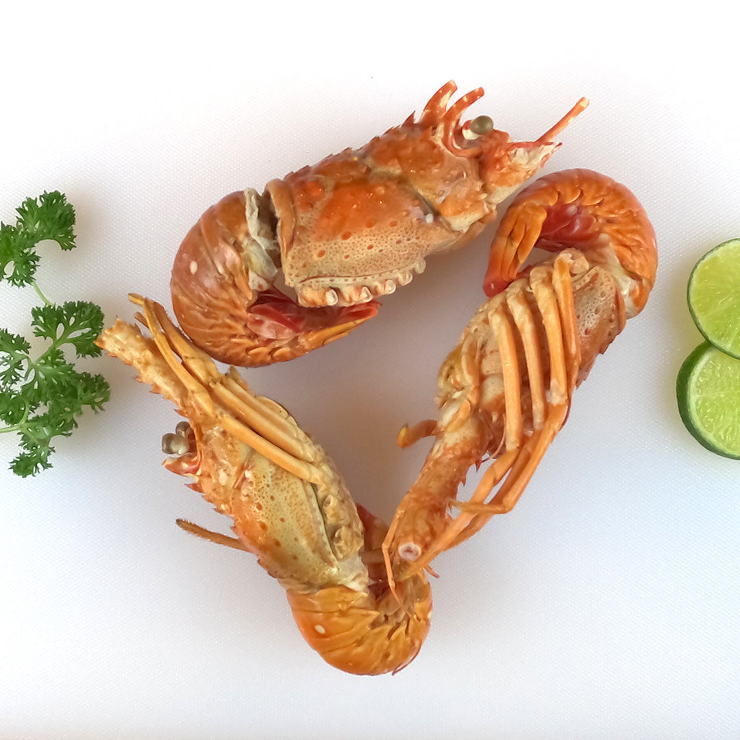 Cola de Langosta 150-200g