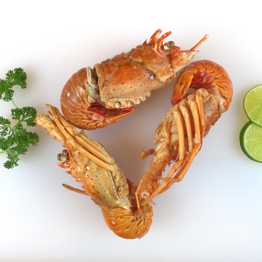 Cola de Langosta 150-200g